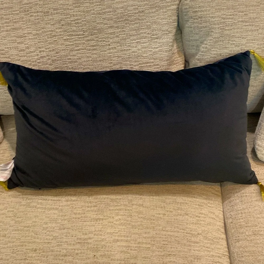 NWOT Cynthia Rowley Curious Ouija Halloween Black Cushion Pillow “PRICE IS FIRM